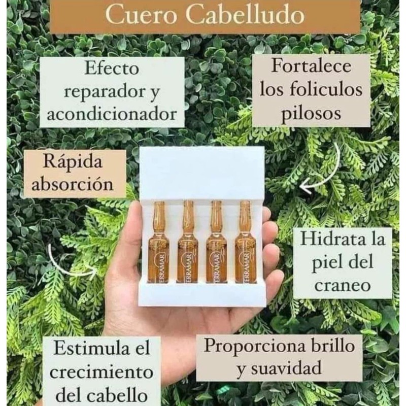 Terramar Set Nutritivo Capilar Terramar Original