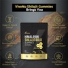 VivoNU Himalayan Shilajit Gummies with Ashwagandha, Gokshura & Herbs –
