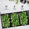 Durable Seedling Heat Mat,Waterproof Hydroponic Heating Pad,Seedling Heating Pad for