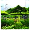 Aquatic Water Plant Fixed Rings, 20 Pcs, 20mm