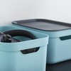 Jive Decorative Box, Set of 3 Storage Boxes, 5 L
