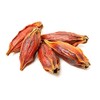 Gardenia Fruit - Dried Gardenia Fruit from 100% Nature (8