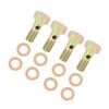 VekAuto 4 Sets M6x1.0mm Metric Thread Banjo Bolts Brake Fitting