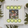 TEHAUX 12pcs Dried Pressed Cucumber Slices for DIY Decor Craft