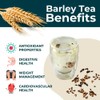 Teapro Premium Barley Tea 100g | Mugicha Caffeine-Free Natural Herbal