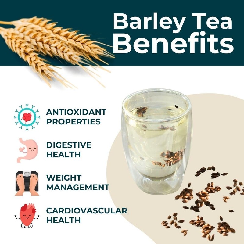 Teapro Premium Barley Tea 100g | Mugicha Caffeine-Free Natural Herbal