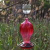 Glass Ant Moat for Hummingbird Feeder - 2PC x 3