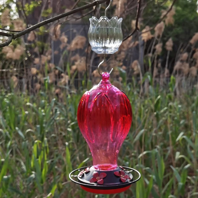 Glass Ant Moat for Hummingbird Feeder - 2PC x 3