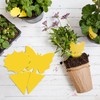 Fruit Fly Traps Indoor Fungus Gnat Trap 48PCS for Plants