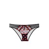 Victoria's Secret Heart Embroidery Cheekini/Cheeky Panty Multicolor New Medium