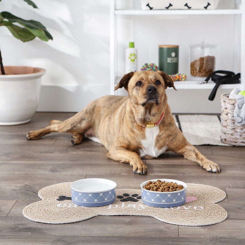 Bone Dry Trellis Paw Print Pet Bowl Set Microwave &