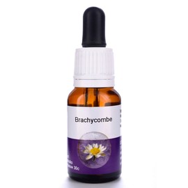 Living Essences Brachycombe 15ml