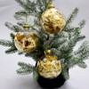 Sorority Shop Gamma Phi Beta Ornament - 8cm Clear Plastic