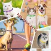 Amylove 48 Pcs Dog Collar and Leash Set, Polypropylene Adjustable