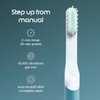 Quip Cepillo de dientes sónico de plástico para adultos Plus