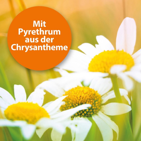 ARDAP With pyrethrum from chrysanthemum blossoms