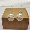 Dandelion Real Flower Make a Wish Glass Ball 925 Sterling