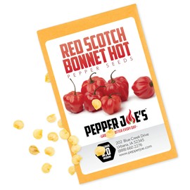 Pepper Joe’s Red Scotch Bonnet Pepper Seeds – Pack of 10+ Hot Chili Pepper Seeds – USA Grown – Premium Non-GMO Reaper Seeds for Planting