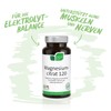 Nicapur Magnesiumcitrat 120 - 60 Kapseln mit je 120 mg