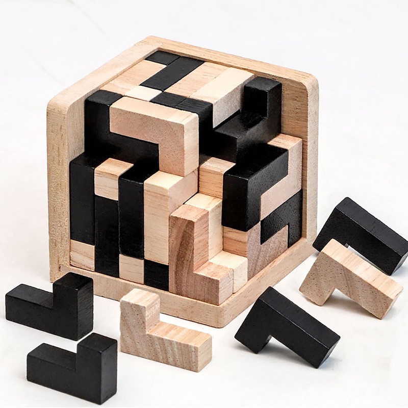 Wooden Brain Teaser Puzzle Skills Builder Shape Pieces Educational Toy