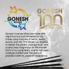 Gonesh - Classic Incense Sticks Variety Pack - Non-Toxic 10”