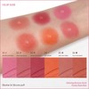 SWETIYOU Cream to Powder Blush Stick, Built-In Jelly-like Silicone Makeup
