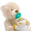 Mary Meyer WubbaNub Soft Toy and Infant Pacifier, Cosmo Bear