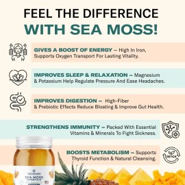 TrueSeaMoss Top 3 Best-Selling Gels – 1 oz Jars: Strawberry, Cherry & Mango-Pineapple – Rich in Minerals & Vitamins – supports immunity, improves digestion, boosts energy, promotes skin & hair health