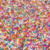 Rainbow Sprinkles - 1.6 Pounds - Chistmas Baking Toppings -
