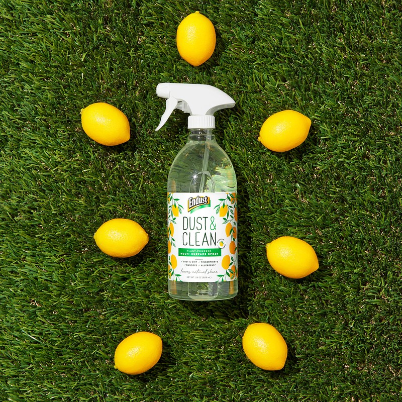 Endust Plant-based Multi-surface Dusting & Cleaning Spray, 24 Fl Oz