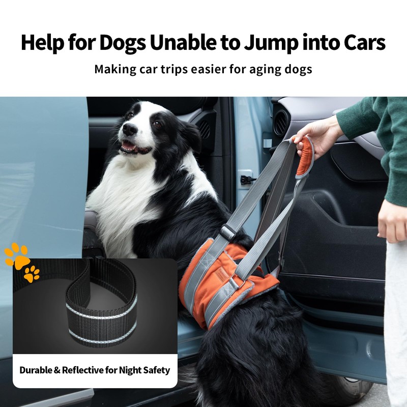 Dog Lift Harness,Dog Sling for Large Dog to Help Senior,Injured,Disabled,XL