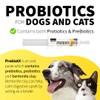Probiotic X Paste for Dogs – 30ml Advanced Pro &
