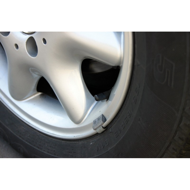 Pilot Universal Valve Caps Silver Set of 4