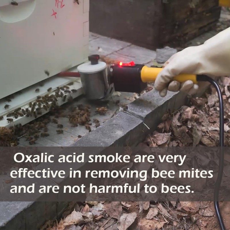 Oxalic Acid Vaporizer, Oxalic Acid Atomizing Beekeeping Equipment for Beehive