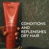 Aveda Nutriplenish Conditioner Deep Moisture | Rich Superfood Conditioner for