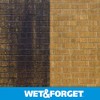 Wet & Forget No Scrub Outdoor Cleaner for Easy Removal