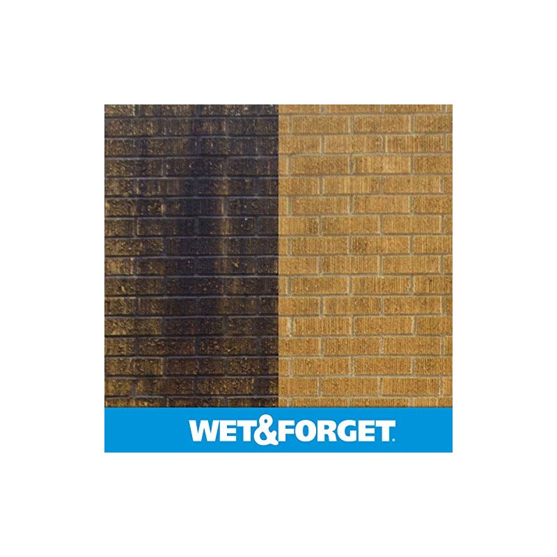 Wet & Forget No Scrub Outdoor Cleaner for Easy Removal