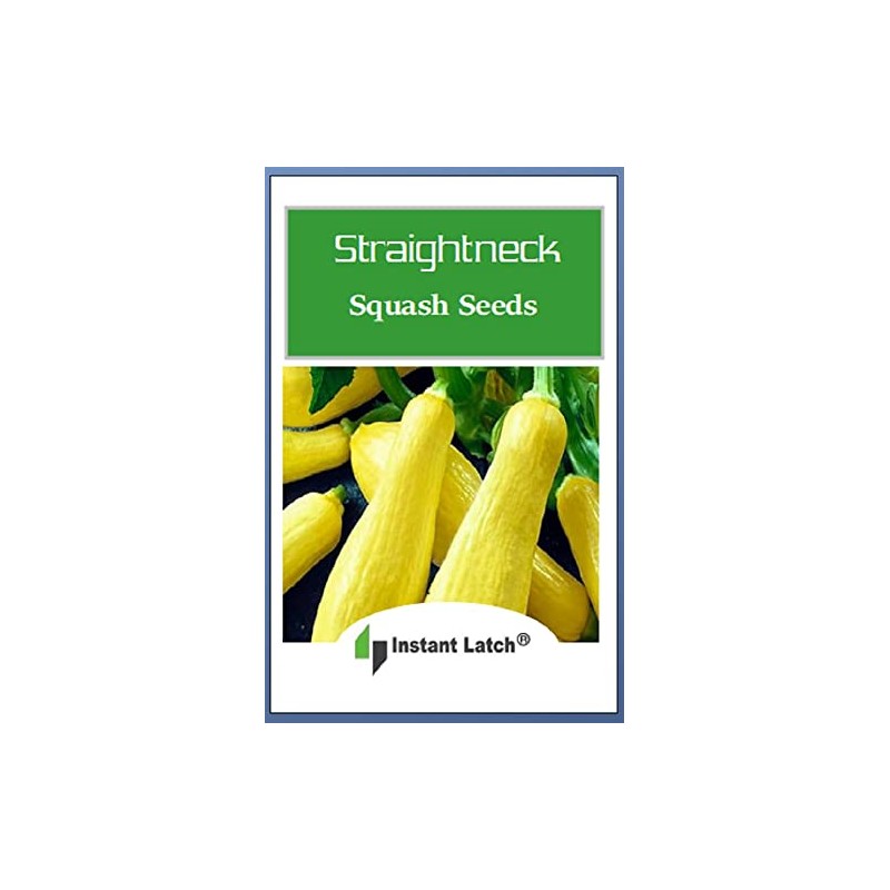 20 Straightneck Squash Seeds | Non-GMO | Fresh Garden Seeds