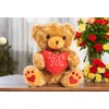 Zillywood 9" Talking Teddy Bear with Accessories Repeats What You