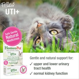 HomeoPet Feline UTI Plus Urinary-Tract Relief, Urinary-Tract Support for Cats, 15 Milliliters
