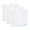 Silhouette Cameo Light Hold Cutting Mat 3 Pack