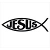 Unbranded Chase Grace Studio Jesus Fish (2 Pack) Religious Symbol