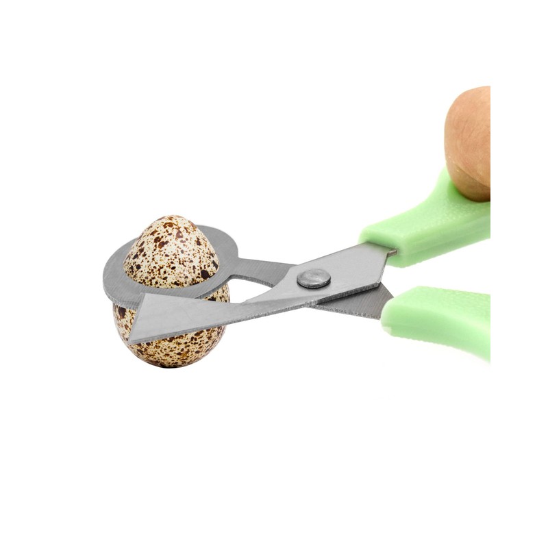 QWORK® 4 Pieces Quail Egg Scissors, Stainless Steel Quail Egg