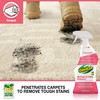 OdoBan Professional Cleaning and Odor Control Solutions, Ready-to-Use Biostain and