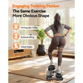 Niceday Twist Stepper for Exercise at Home, Mini Stair Stepper with Resistance Bands at Home Workout Equipment with 300LBS Loading Capacity, Hydraulic Fitness Stepper with LCD Monitor Gray