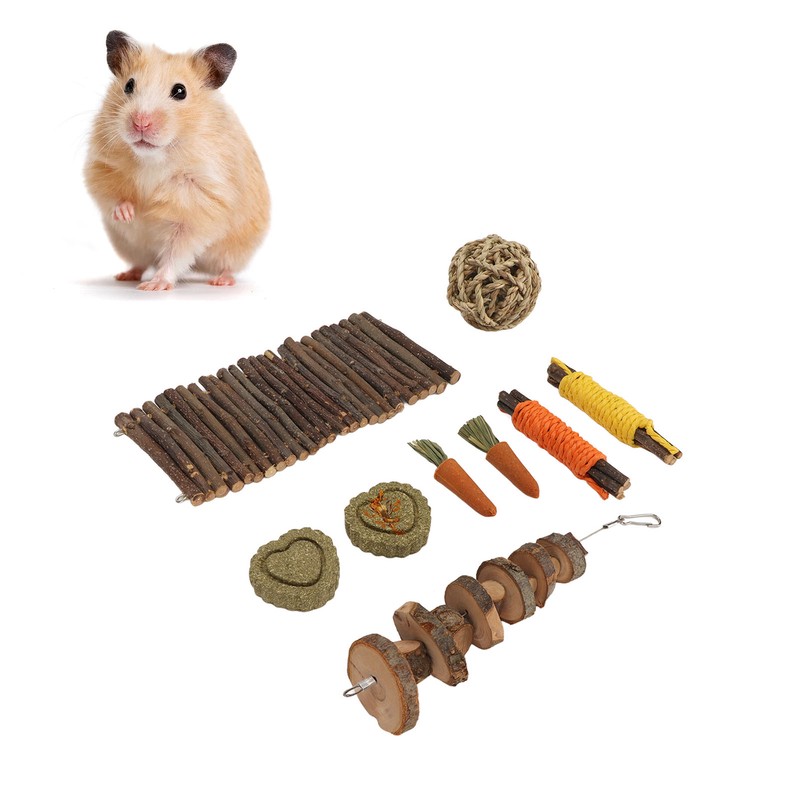 9Pcs Wooden Hamster Toys Arch Bridge Wooden Piece String Apple