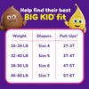 Pull-Ups Girls' Potty Training Pants, Size 4T-5T Training Underwear (38-50