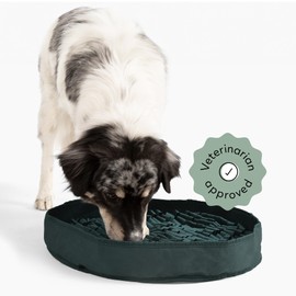 Reggie Stimulating Feeder Mat for Dogs | Relieve Speed Eating, Boredom, Stress | Vet-Approved & Ideal for All Ages, Dog Breeds, and Sizes (Hunter Green Feeder Mat)