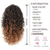 AISI BEAUTY Curly Ponytail Extension for Black Women Drawstring Ponytail