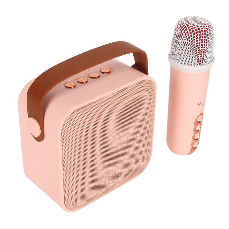 Mini Karaoke Machine Set Portable Bluetooth Speaker with 1 Wireless